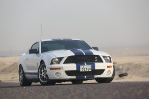 shutterstock_1804517095