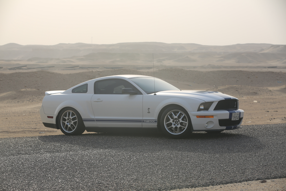 shutterstock_1804519066