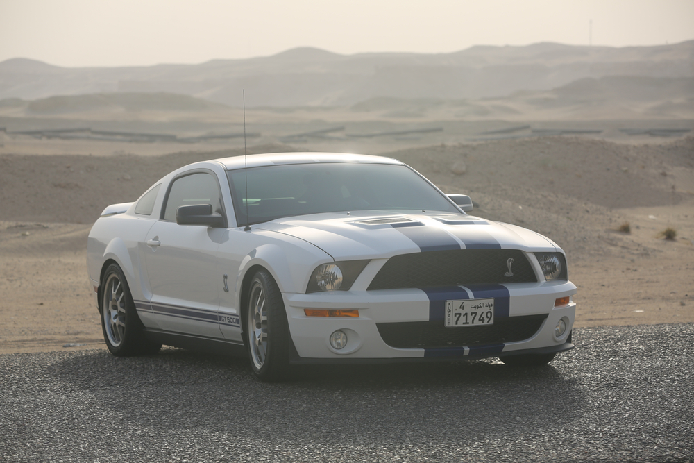 shutterstock_1804519195